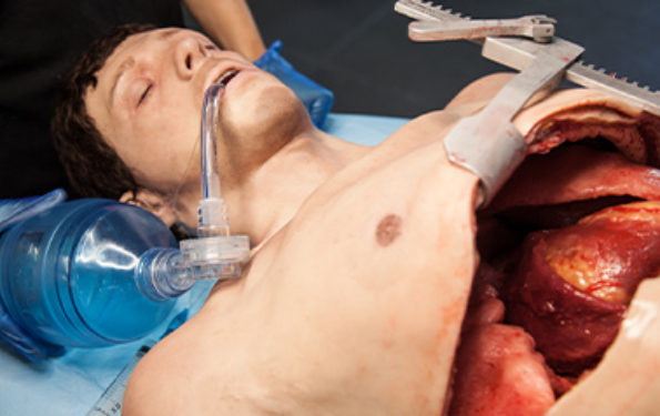 Thoracotomy training simulator body