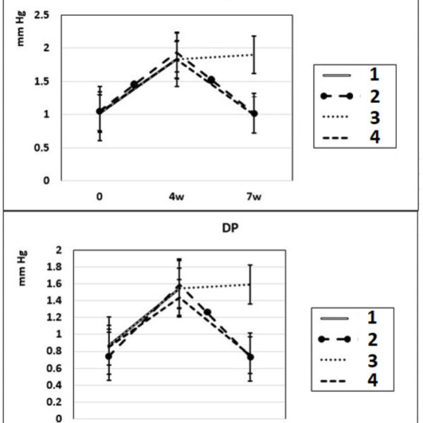 Some Aspects of Role of Nitric Oxide in the Mechanisms of Hypertension (Experimental Study)