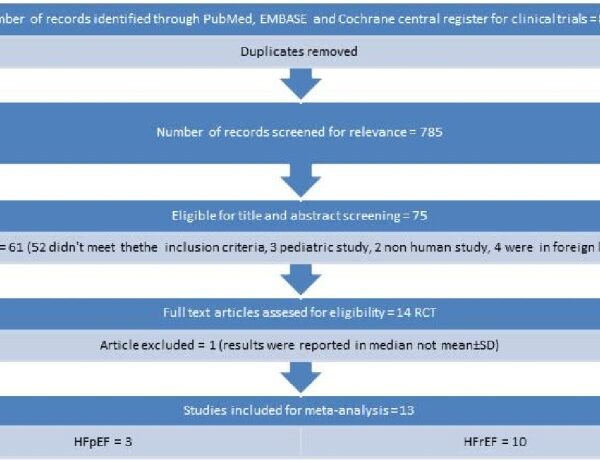 Effect of Ivabradine on Left Ventricular Diastolic Function, Exercise Tolerance and Quality of Life in Patients With Heart Failure: A Systemic Review