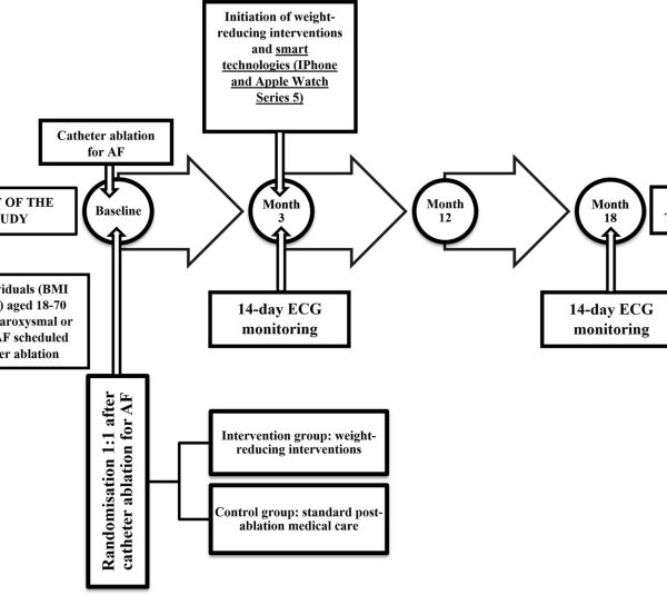 Effect of Complex Weight-Reducing Interventions on Rhythm Control in Obese Individuals with Atrial Fibrillation Following Catheter Ablation: A Study Protocol